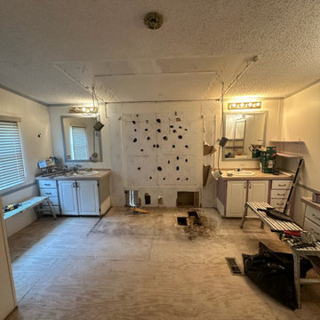 Master Bath remodel