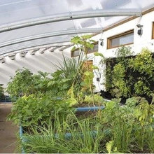 Plants and aquaponics