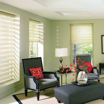 Allure Transitional Shades
