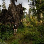 Robert Henrickson's photo