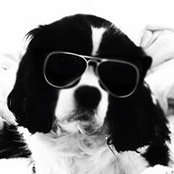 Laila Davidson's photo