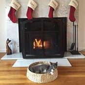 Lisa Bocchieri's photo