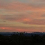 Susan Davis's photo