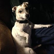 Wilma Rogers's photo