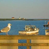 Bob Scribner's photo