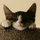michael_kendall61