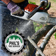 Phils Tree Services