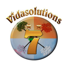 Vida Solutions Landscaping