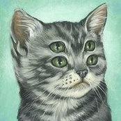Kirill Chayka's photo