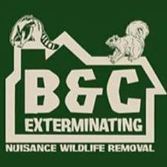 B&C Exterminating