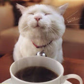 Ashley Leonard's photo