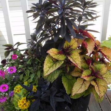 Container Gardens
