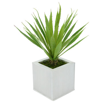 Faux Baby Yucca in Square Zinc Pot, Cream
