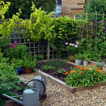 gardening