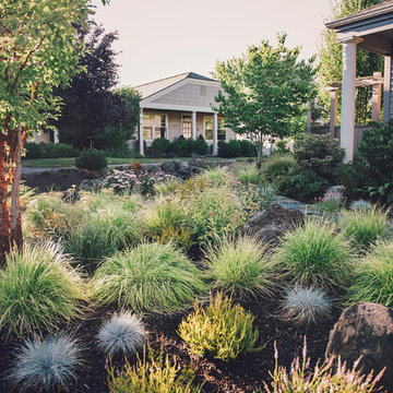Perrenial Garden + Paperbark Maple
