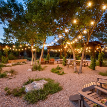 Landscape Ideas