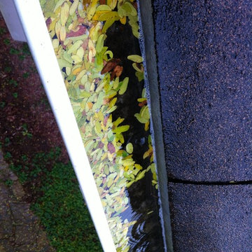 Eavestroughs and Leaf Guards