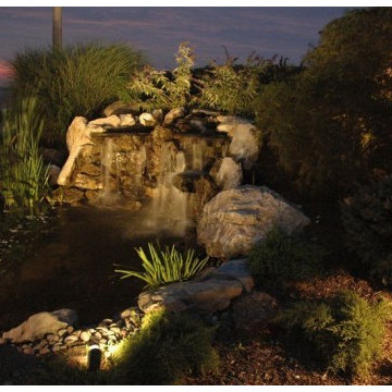 Backyard Pond