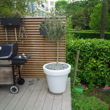 Rueil-Malmaison Garden Paysagiste Jardin Massif Olivier Terrasse