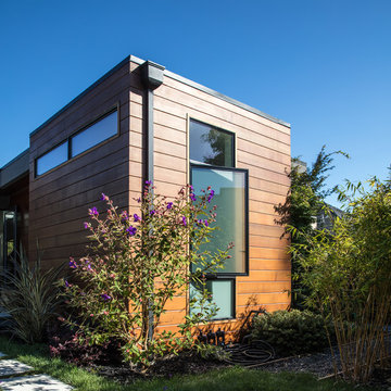 San Mateo Renovation