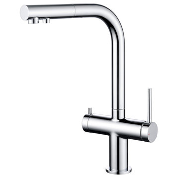 Circular 2-in-1 Water Filter Kitchen Pull Out Faucet, Chrome