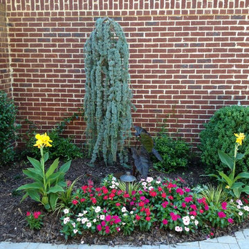Annual Beds