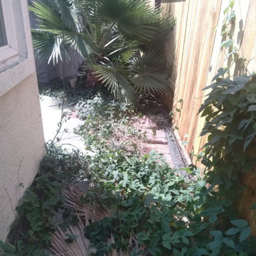 Professional Landscape Maintenance & Yard Care
