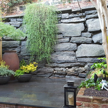 Brooklyn Heights Beauty