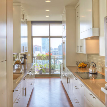Upscale Dream Penthouse Overlooking Soldier's Field