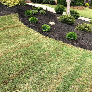 Landscape Design