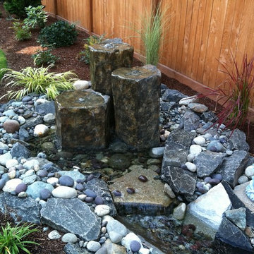 Edmonds Backyard