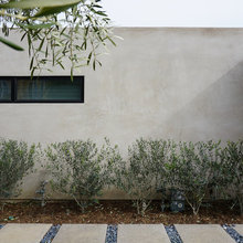 Stucco