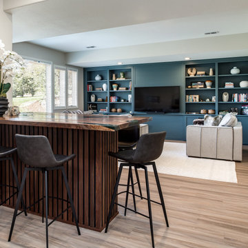 Wet Bar and Basement Remodel