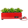 4-Port USB Charging Station Power Plant Stunning Artificial Grass Succulent, Red