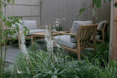 Small contemporary garden in London.