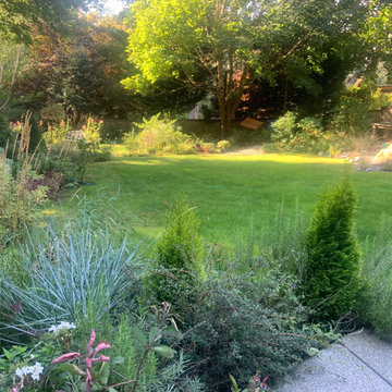 Woodland Meets Backyard
