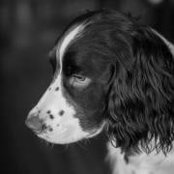 Ben Bushong's photo