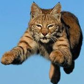 Brady Frey's photo
