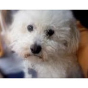 Darla Jureller's photo