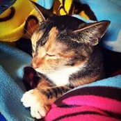 Foto von Elodie Chen