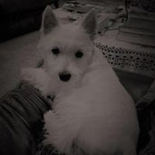 Artsy Lady's photo