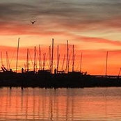 Beth Faust's photo