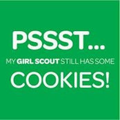 Brandi Homan's photo