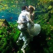 Roberta Trevino's photo