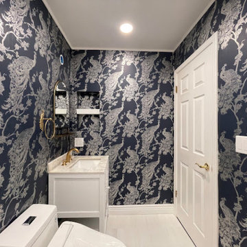 Danville Guest Bathroom remodel