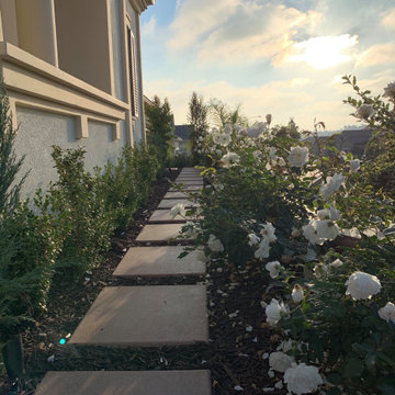 Exterior Landscaping