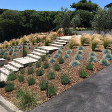 Garden Steps