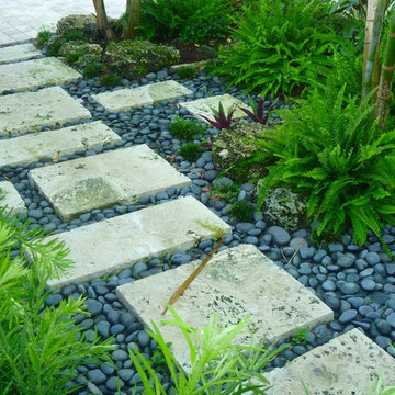 Landscaping with ferns and coral walkway