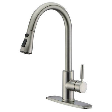 Kitchen Pull-Out Faucet With Plate