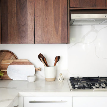 Venice Modern-Kitchen